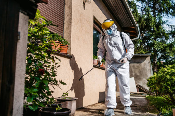 Best Pest Removal Services  in Lordsburg, NM