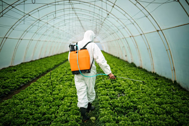 Best Pest Control Near Me  in Lordsburg, NM