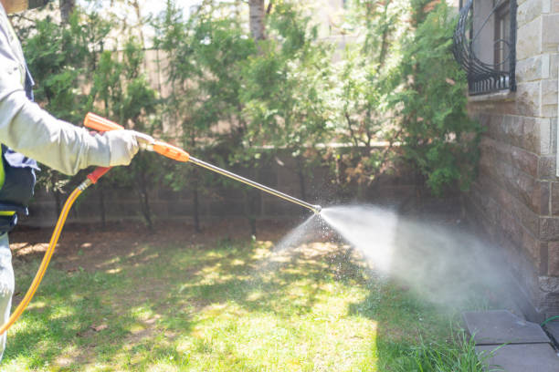 Best Best Pest Control Companies  in Lordsburg, NM