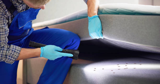 Best Exterminator Services  in Lordsburg, NM