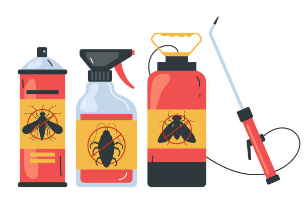 Best Affordable Pest Control Services  in Lordsburg, NM