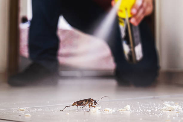 Best Bed Bug Extermination  in Lordsburg, NM